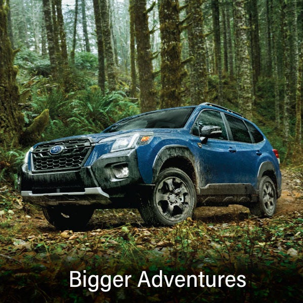 A blue Subaru outback wilderness with the words “Bigger Adventures“. | Valley Subaru of Longmont in Longmont CO