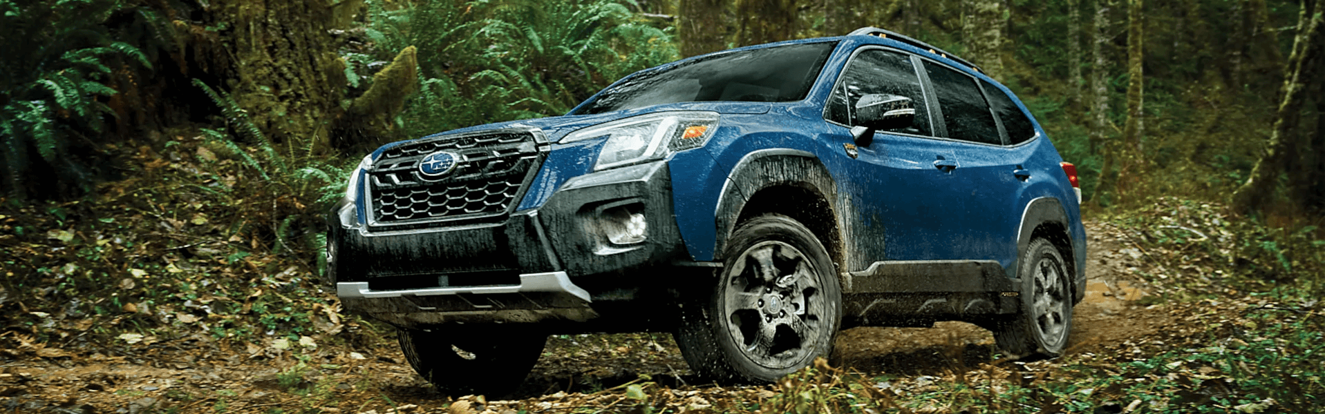2024 Subaru Forester in the woods with mud on its tires