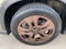 2025 Subaru Ascent Limited Bronze Edition