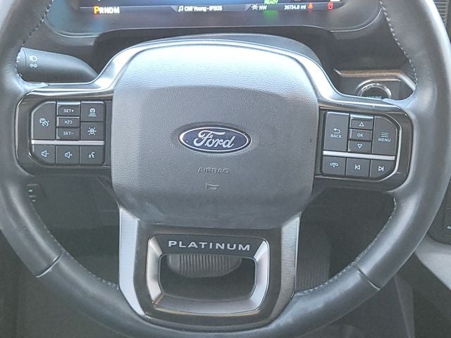 2024 Ford F-150 Platinum