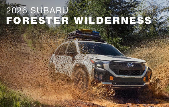 2026 Subaru Forester Wilderness | Valley Subaru of Longmont in Longmont CO