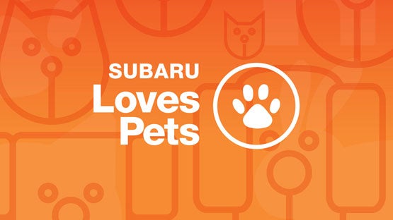 Valley Subaru of Longmont in Longmont CO