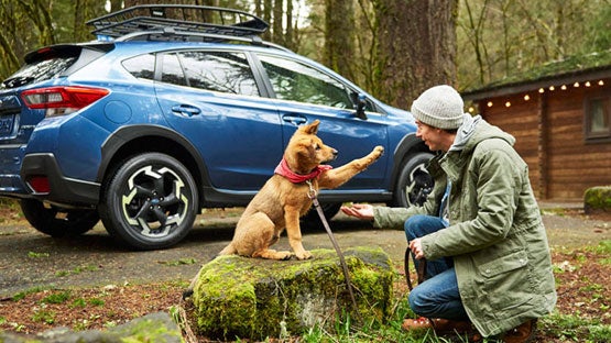 Valley Subaru of Longmont in Longmont CO